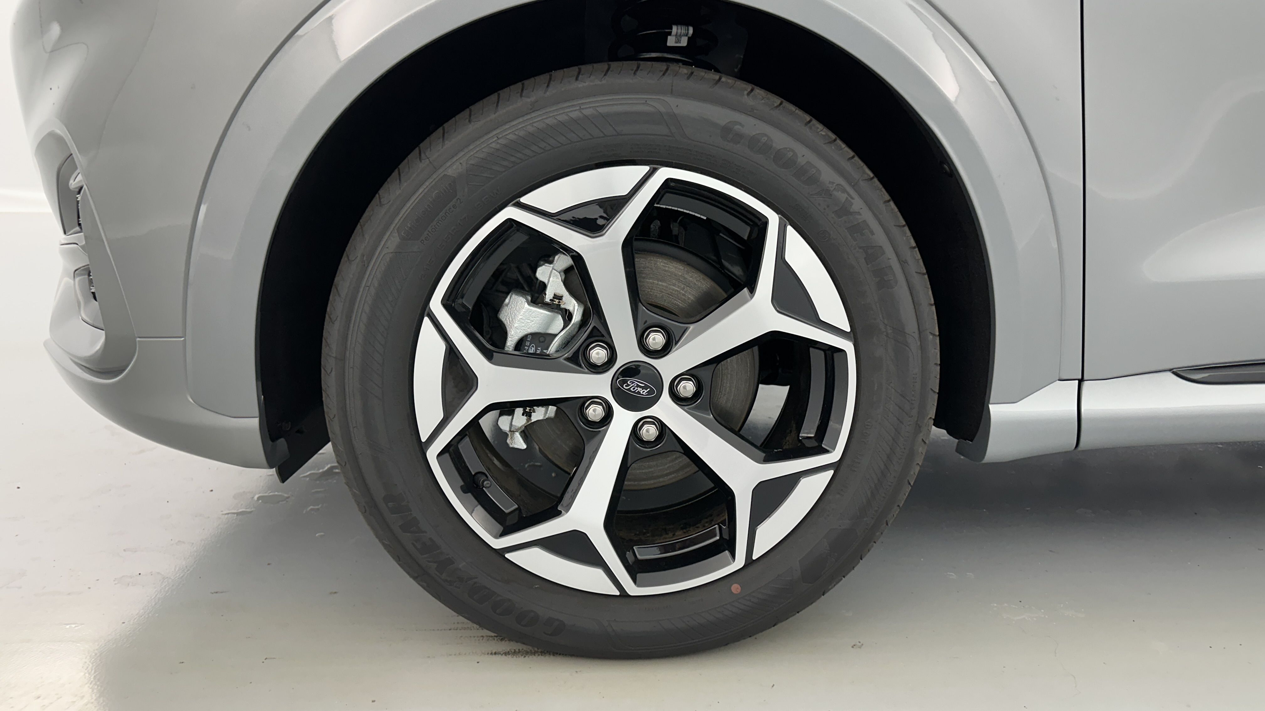 GLI00009890_p53 - FORD - PUMA - 2025 - photo 11