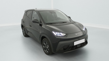 378143_p2 - BYD - DOLPHIN SURF - 2025