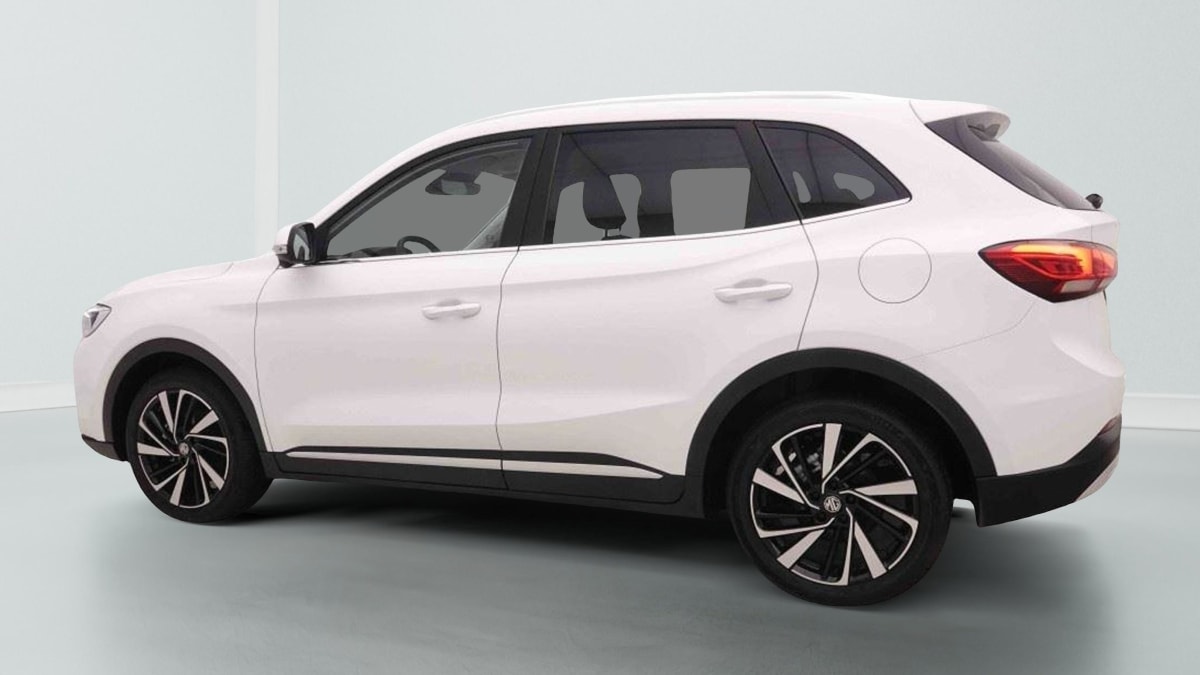 377387_p2 - MG - ZS - 2026 - photo 3