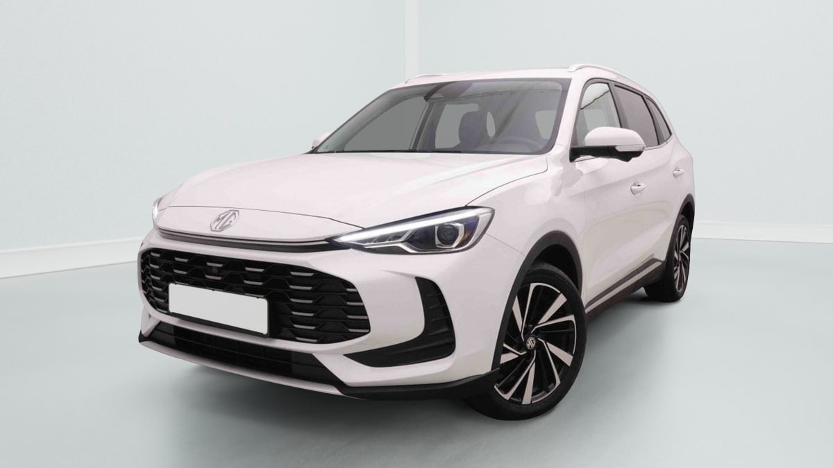 377749_p2 - MG - ZS - 2026 - photo 1