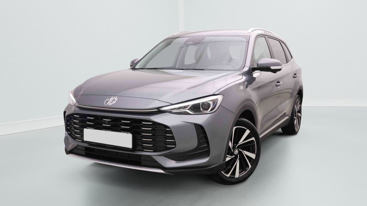 385014_p2 - MG - ZS - 2026 - photo 1