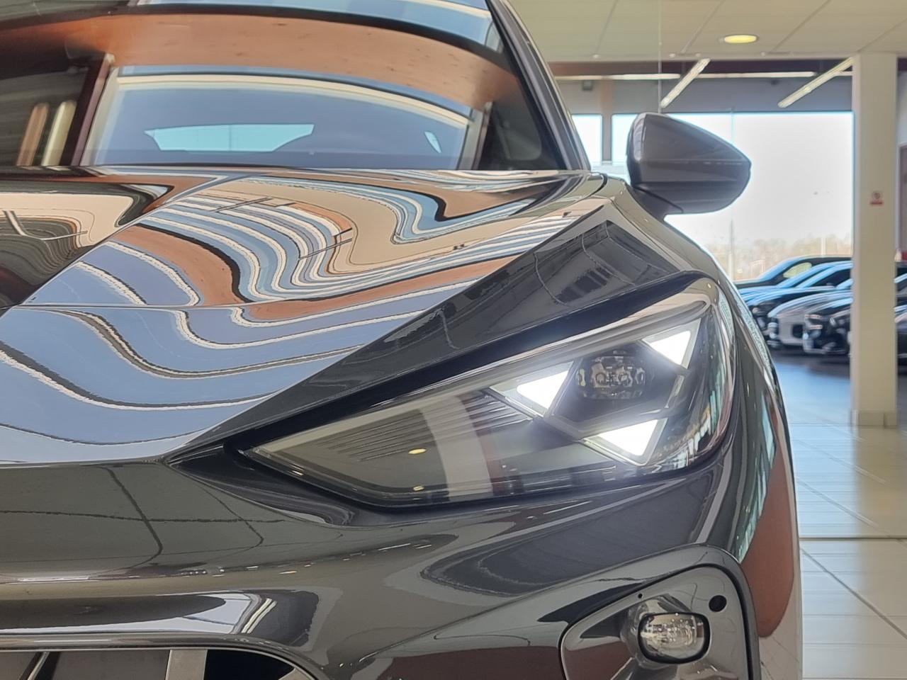 0679-0003344_p68 - CUPRA - TERRAMAR - 2026 - photo 6