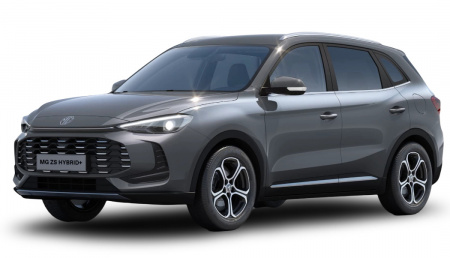 GLI00033629_p53 - MG - ZS - 2026